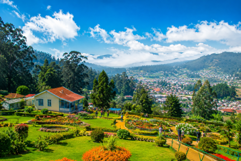 Ooty