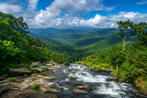 Coorg