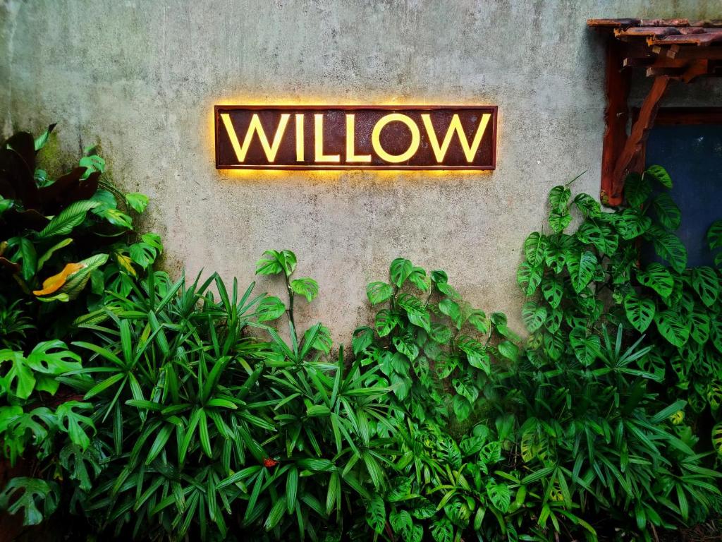 Willow Resort