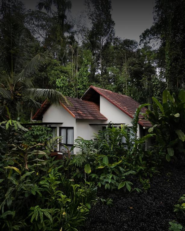 Excelsa- Premium cottage