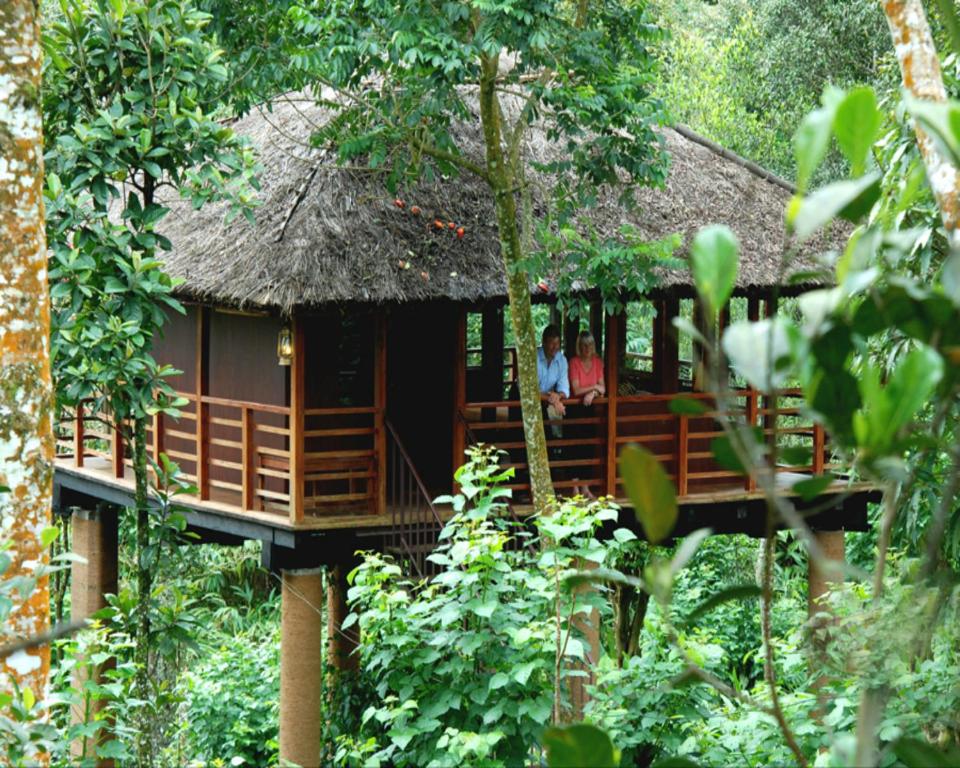 Tree House With Balcony